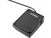 alesis-concert_60e48a18b337f.jpg