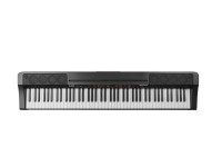 alesis-prestige-artist_636286fa97359.jpg