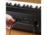 alesis-prestige-artist_636286fb7882a.jpg