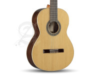 alhambra-2c-inclgig-bag_67c8690c32d06.jpg