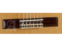 alhambra-3c-incl-gig-bag_67c873510c8a7.jpg