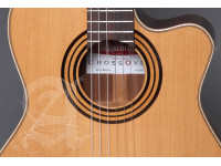 alhambra-cs-1-cw-e1-incl-gig-bag_67c86e42c21fb.jpeg
