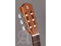alhambra-z-nature-ct-ez-incl-gig-bag_67c83b7d5e6c5.jpeg