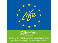 alhambra-z-nature-cw-ez-incl-gig-bag_67c86ba6f2778.jpg