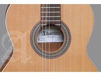 alhambra-z-nature-incl-gig-bag_67c86a49df5c6.jpg