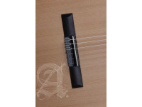 alhambra-z-nature-incl-gig-bag_67c86a4db9481.jpg