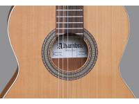 alhambra-z-nature_5aa01c7ada410.jpg