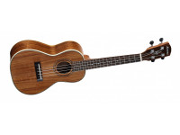 alvarez-ru90cp-ukulele-concerto-pack_602e99094a936.jpg