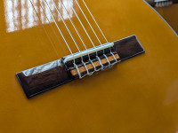 alysee-cl200ceg-guitarra-classica-cutaway-4-4-acabamento-brilhante_6a2c1d9197a1a.jpg