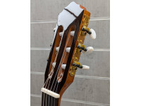 alysee-cl200ceg-guitarra-classica-cutaway-4-4-acabamento-brilhante_6a2c1d9523531.jpg