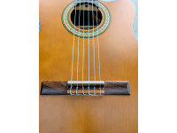 alysee-cl200ces-guitarra-classica-cutaway-4-4-acabamento-satinado_6a2c1d3207012.jpg