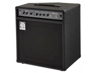 ampeg-ba-112-v2_5b3cee8eec689.jpg