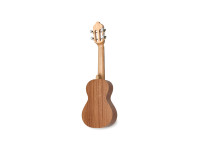 apc-cavaquinho-2-coracoes_6655bad6ba005.jpg