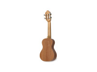 apc-cavaquinho-birabaile_6655bb7837cdb.jpg