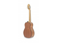 apc-cuatro-venezuelano-apc-cua100-spruce-sapele_6384c7795ee11.jpg