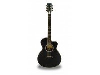 apc-ea-100-blk-cw_560d23fe8c4a7.jpg