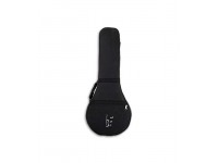 apc-emda-estojo-semi-rigido-bandola_5f9a9bb6d820b.jpg