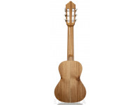 apc-guitalele-gs-simples_603781f1c8329.jpg
