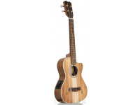 apc-tc-cw-classico-cutaway_6036366263b35.jpg
