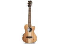 apc-tc-cw-classico-cutaway_603636635138e.jpg