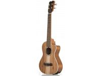 apc-tc-cw-classico-cutaway_603636643dccc.jpg
