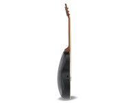 applause-elite-ae44-mid-cutaway-vintage-varnish-satin_683466c7637c5.jpg