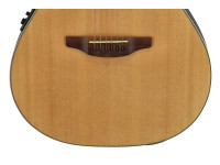 applause-elite-ae44-mid-cutaway_683464f1c467c.jpg