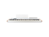 arturia-keylab-88-mk3-white_67dc35b5da059.jpg