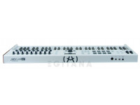 arturia-keylab-essential-61_61364e49e2662.jpg