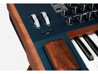 arturia-polybrute_5f6b0e0cd467c.jpg