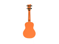 ashton-uke-120-bor_64e774ab8c6eb.jpg