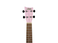 ashton-uke-120-spk_64e77b47a40b2.jpg