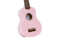 ashton-uke-120-spk_64e77b73478be.jpg
