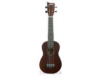 ashton-uke110-mh-mahogany_6112639628b1e.jpg