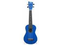 ashton-uke110_6113b1c748c85.jpg