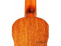 ashton-uke200sp_5963a3fc2e6e0.jpg