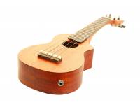 ashton-uke220-eq-mw_5963a4d251646.jpg