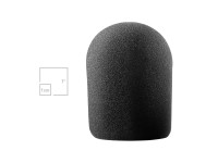 audio-technica-at8137-windscreen-for-at4033_67b35702d022a.jpg