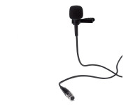 audiophony-golava_67f93c0b66f9d.jpg