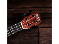 barnes-mullins-concert-ukulele-electro-walnut_6915ac4b7e2c0.jpg