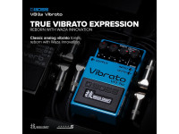 bboss-vb-2w-vibrato-pedal-compacto-guitarra-waza-craft-b_682f542c6758c.jpg