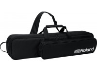 bolsa-de-transporte-incluida-roland-aerophone-ae-20_620b933613b24.jpg