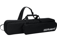 bolsa-de-transporte-incluida-roland-aerophone-ae-20_6356bae965beb.jpg