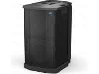  Subwoofer ativo/Colunas Subwoofer graves amplificadas Bose F1 Subwoofer Ativo 1000W 2 Drivers de 10