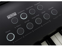 bpack-piano-roland-fp-e50-saco-transporte-almofadado-roland-cb-b88v2-b_6814e125e6720.jpg