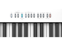broland-fp-30x-wh-piano-branco-com-suporte-roland-ksc-70-wh-e-pedal-sustain-roland-dp-2-b_683d7464e8324.jpg