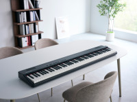 broland-go-piano-88-px-portable-piano-iniciacao-musical-88-teclas-b_683d8d0dbf627.jpg