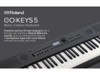 broland-gokeys-5-gt-graphite-cinzento-escuro-teclado-portatil-piano-sintetizador-arranger-ritmos-tecnologia-zen-core-61-teclas-best-seller-b_682ef0717af83.jpg