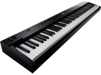 broland-rd-88-ex-piano-de-palco-profissional-88-teclas-pesadas-expanded-acoustic-piano-3-b_683022d37b30c.jpg