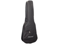 brunswick-super-mini-3-4-size-mahogany_69145cfcd9f57.jpg